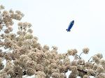 032305ueno.jpg