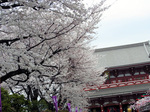 032307asa.jpg