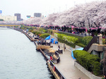 032309asa.jpg