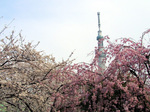 032310asa.jpg