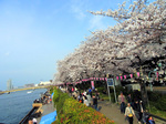 032312asa.jpg