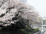 0406002㊯.jpg