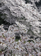 0406007璹Γ.jpg