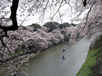 0406008璹Γ.jpg