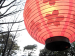 041006提灯.jpg