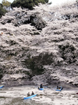 0413001璹.jpg