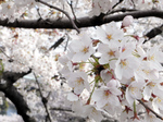 0413002璹.jpg