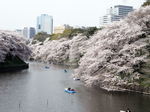 0413003璹.jpg
