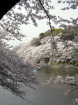 0413004璹.jpg