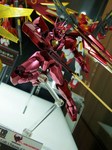 060109TRANS-AM.JPG