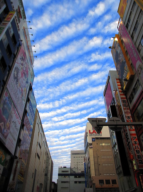 101303うろこ雲.jpg